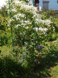 DSCN3349.JPG