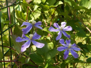 DSCN3350.JPG