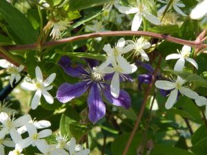 DSCN3353.JPG