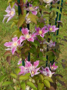 DSCN3598.JPG