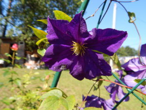 DSCN3456.JPG