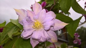 WP_20190731_10_37_47_Pro_LI.jpg