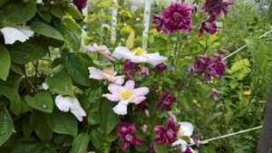 WP_20190731_10_36_21_Pro_LI.jpg