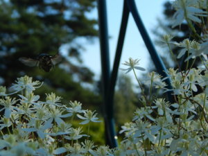 DSCN3253.JPG