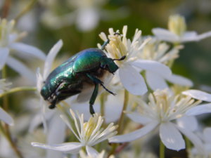 DSCN3256.JPG