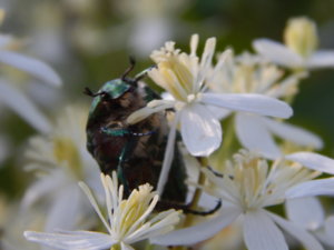 DSCN3260.JPG