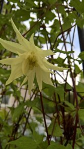 WP_20190801_10_37_31_Pro_LI.jpg