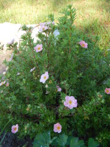 DSCN3290.JPG