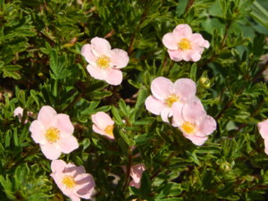 DSCN3394.JPG