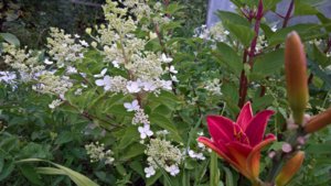 WP_20190731_10_26_15_Pro_LI.jpg