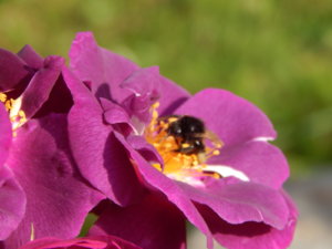 DSCN3524.JPG