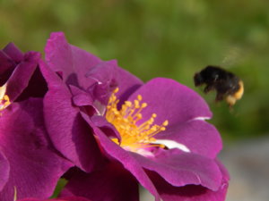 DSCN3525.JPG