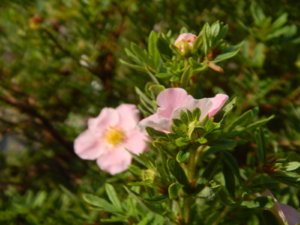 DSCN3564.JPG