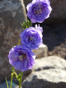 DSCN3284.JPG