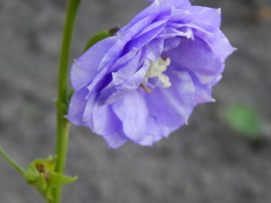 DSCN3406.JPG