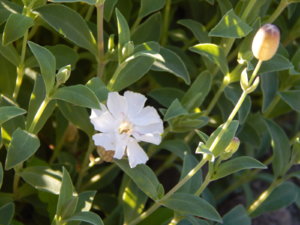 DSCN3283.JPG
