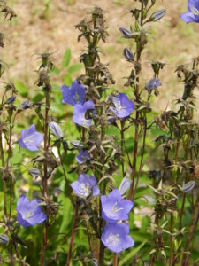 DSCN3403.JPG