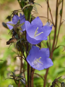 DSCN3404.JPG