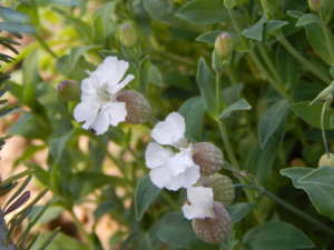 DSCN3408.JPG