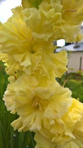 WP_20190801_10_41_04_Pro_LI.jpg