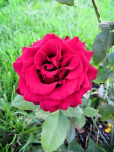 IMG-20190803-WA0014.jpg