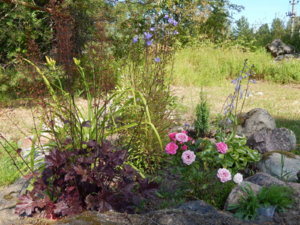 DSCN3398.JPG