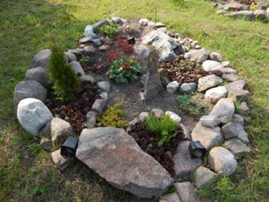 DSCN3567.JPG