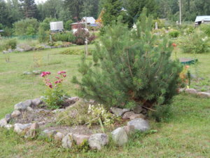 DSCN3581.JPG
