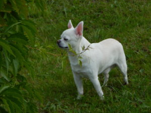 DSCN3617.JPG