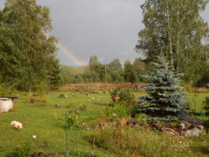 DSCN3763.JPG