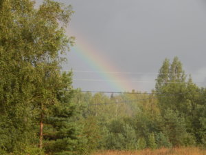 DSCN3764.JPG