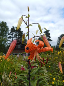 DSCN3651.JPG