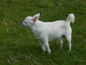 DSCN3620.JPG