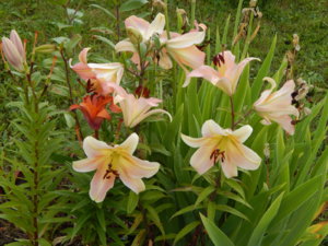 DSCN3628.JPG
