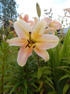 DSCN3629.JPG