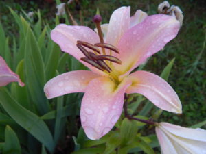 DSCN3767.JPG