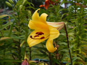 DSCN3662.JPG
