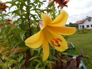 DSCN3664.JPG