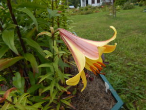 DSCN3665.JPG