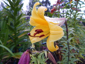 DSCN3790.JPG