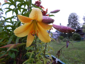 DSCN3793.JPG
