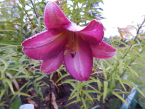 DSCN3788.JPG