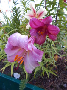 DSCN3792.JPG