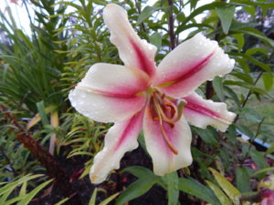 DSCN3791.JPG