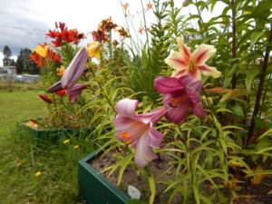 DSCN3666.JPG