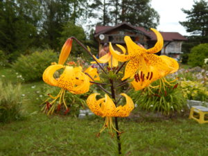DSCN3640.JPG