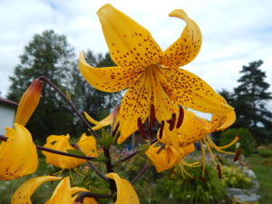DSCN3641.JPG
