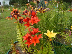 DSCN3661.JPG
