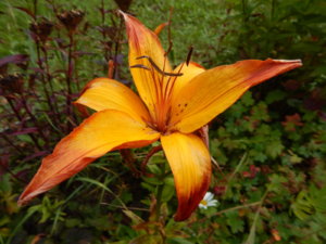 DSCN3751.JPG