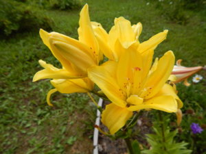 DSCN3752.JPG